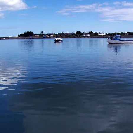 The Oystercatcher Carlingford