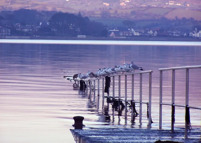 Gæstehus The oystercatcher lodge guest house 5*